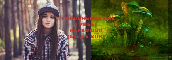 MDMA Бородино